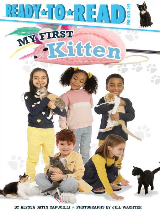 Cover image for My First Kitten